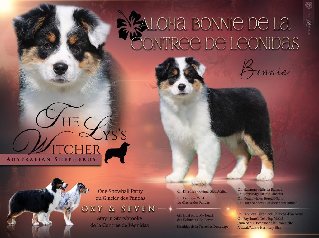 Aloha bonnie De La Contrée De Léonidas